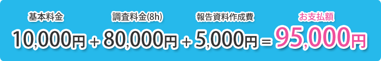 調査に成功した日の費用 例