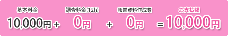 調査に失敗した日の費用 例